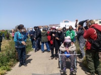 부순정 예비후보 제성마을 왕벚나무 벌목, 제주시장에게 답변 듣겠다