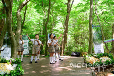 서귀포시 제2회 웰니스 숲힐링 축제 12일까지 개최