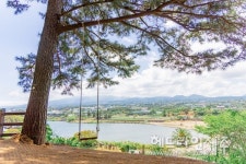 제주도 7월 추천 여행지 애월읍, 놓치면 후회할 명소는?