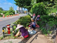 대륜동, 법환초 옆 인도변 환경정비