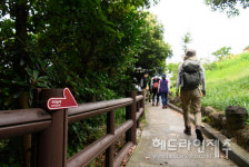 서귀포 도심속 올레길 하영올레, 개장 첫돌잔치 열린다