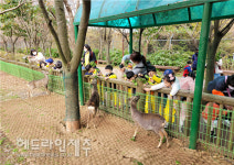 제주 노루생태관찰원, 가족과 함께하는 생태체험 프로그램 호응