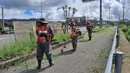 안덕면, 동광육거리~영어교육도시 구간 예초작업 실시