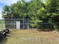 제주자연문화재돌봄센터,  제주도 기념물 북촌동굴서 문화재 돌봄 활동