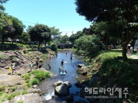 여름철, 물놀이 피서지로 각광받는 서귀포시 최고의 하천 명소는?