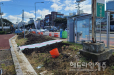 벚나무 무단 벌채 논란 제성마을 도로공사 재개...주민들 반발