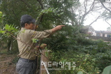 제주자연문화재돌봄센터, 명월 팽나무군락에서 현장 자문 실시