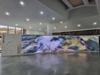 제주민속자연사박물관, 참고래 골격표본 전시 개최