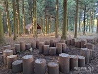 제주, 아이들의 자연 놀이시설 유아동네숲터 확대 조성