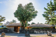 올 겨울 제주도 마을 산책여행, 대정읍을 소개합니다
