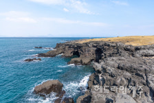 올 겨울 제주도 마을 산책여행, 대정읍을 소개합니다
