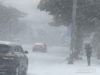 [종합] 제주, '70cm↑' 폭설.강풍...곳곳 교통 두절, 항공기 이착륙 중단