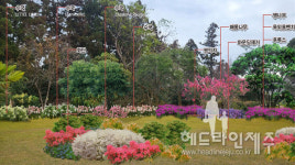 서귀포시, 안덕초.대정고에 학교 숲 조성 사업 추진