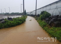 서귀포시, 배수개선사업 국비 467억 확보