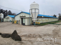 서귀포시, 깨끗한 축산농장 참여 신청 접수...110개소 이상 지정 목표