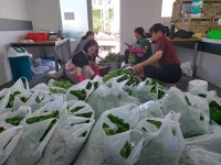 예래동 4통 부녀회, 어르신을 위한 사랑의 김치나눔 활동