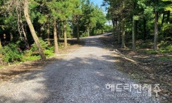 서귀포시, 수망.상천 일대 국유림에 임도 1.6km 개설 추진