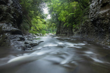 제주 사진작가 14인의 제주오름과 숲 이야기