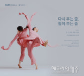 서귀포시, 다시추는 춤, 함께추는 춤 공연 개최