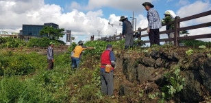 오조리마을회, 올레 코스 칠 넝쿨 제거 및 산책로 정비