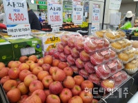 금사과.금복숭아에 기름값도 쑥↑...추석 앞두고 체감물가 껑충