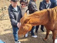말과 교감하고 숲길 걸으며 힐링...발달장애 연주자들의 무장애 제주여행