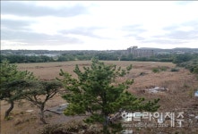 서귀포시, 산림청 주관 기후대응 도시 숲 조성사업 선정...국비 22억 확보