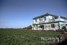 제주 평대리 비자림~돝오름~해변, 생태관광지역으로 지정