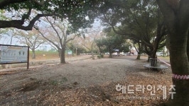 행정기관이 설치해놓고는...불법이라며 이용자 내쫓고 한밤중 철거