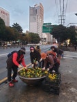 연동주민센터-신제주새마을금고부녀회, 주요 도로변에 계절화 식재