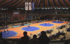 제주평화기 전국태권도대회 개막...겨루기와 품새, 최고를 가린다