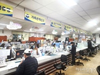 제주 구좌읍 이색 시책 구좌삼춘 촐레영 김치영 눈길