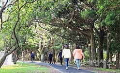 제주 신산공원 내 제주역사관 건립 위해...녹지공간 다 없애려나