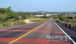 제주도, 금백조로 확장 타당성조사 추진...비자림로 추가 확장