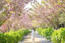 안녕, 봄...서귀포 상효원, 15일부터 봄꽃 축제