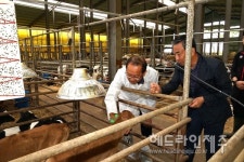 강병삼 제주시장, 저지종 개량 다원목장 운영상황 점검