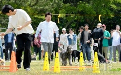 우리집 막둥이와 함께...제주, 반려동물 문화축제 성황 