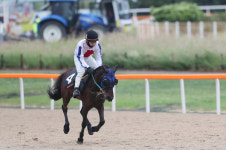 렛츠런파크 제주 18살 최고령 경주마 한라명성 은퇴