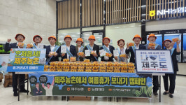 혼저옵서! 제주농촌...농협제주본부, 서울서 캠페인 전개