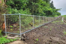 제주도, 동물 찻길사고 다발구간 안전시설 설치