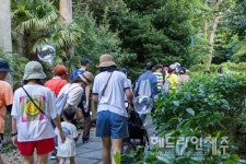 서귀포 원도심 밤마실 코스 걸어요...달빛 하영걷길 성황