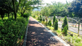 서귀포시 새서귀·태흥초 도로변 자녀안심 그린숲 조성  