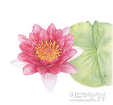 국립제주박물관, 참여형 전시사업 9월 보태니컬 아트 자연을 담다 개막