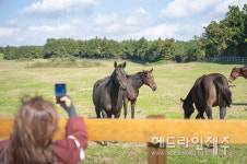 제주만의 웰니스 특화프로그램 고요한 명상, 제주의 위로