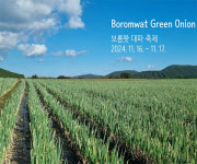 파릇파릇 대파축제, 16~17일 성읍리 보롬왓 일대서 열린다