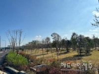 제주시 애조로 회천~신촌 구간에 기후대응 도시숲 조성 