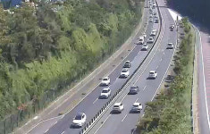 제주도 5개 주요 도로, 이용자 만족도 상승