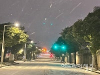 제주도, 초속 36m 강풍  폭설...도로 곳곳 통제, 항공기 중단