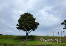 [배공순의 두근두근 제주 엿보기] (14) 자존의 저항이 깃든 터, 항파두리 항몽유적지