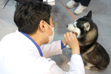 제주 펫테크 기업 피터페터, 중소벤처기업부 글로벌 창업사관학교 선정